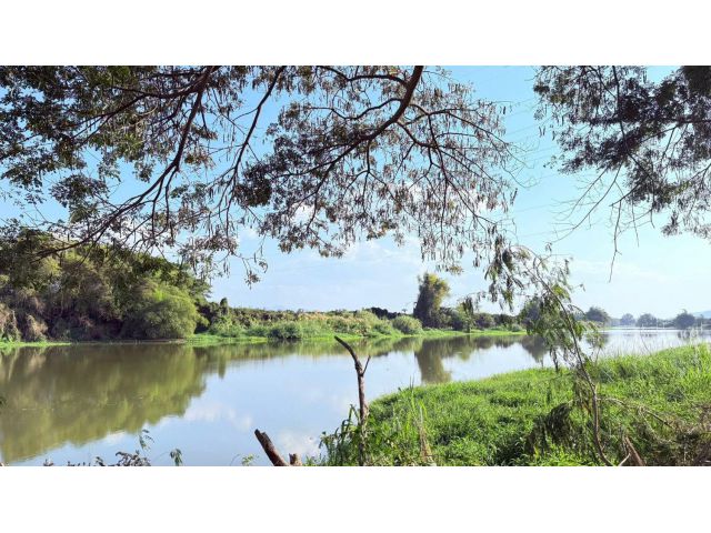 ขายที่ดินหน้าติดถนนคอนกรีตหลังติดน้ำปิงจอมทองพร้อมโอน