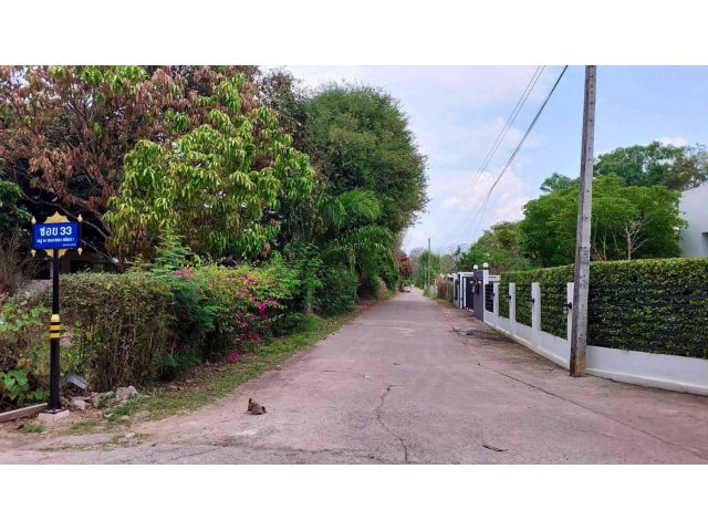 ขายที่ดินตำบลสันทรายห่างมหาวิทยาลัยแม่โจ้เพียง 1km