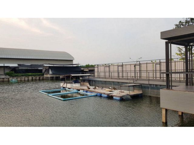 PK996 ขาย และ ให้เช่า ที่ดิน 6 ไร่ พร้อมโรงงาน โกดัง และบ้านพัก บางบัวทอง นนทบุรี ใกล้รถไฟฟ้าสีม่วง สถานีคลองบางไผ่