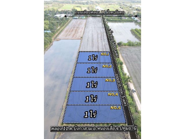 ขายที่ดินเหมาะทำบ้านสวนเกษตร คลอง 11 อ.หนองเสือ จ.ปทุมธานี