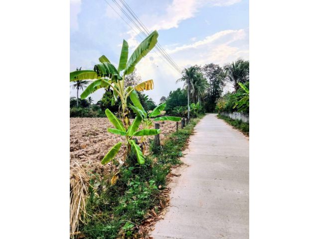 ที่ดินอยู่อาศัย กลางชุมชน อ.ชำนิ บุรีรัมย์