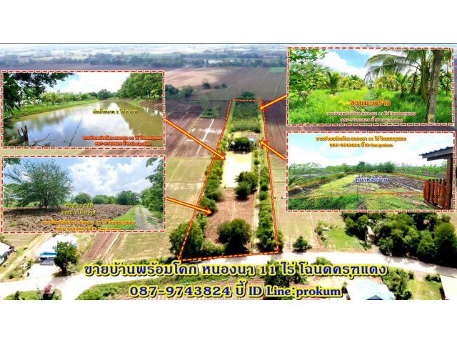 ขายโคกหนองนา