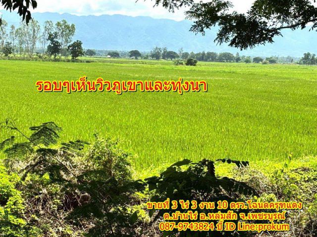 ขายที่ 3 ไร่ 3งาน ติดถนนลายาง