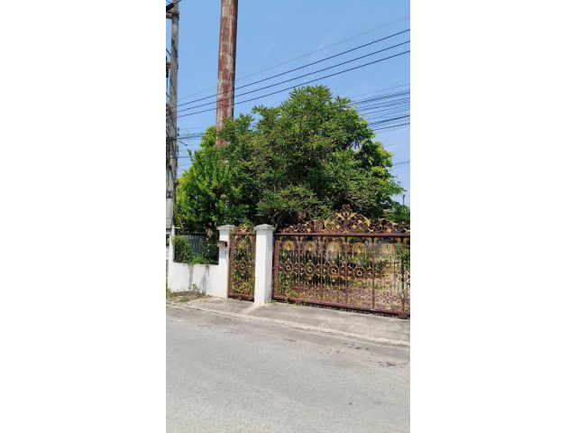 ขายที่ดินในโครงการเชียงใหม่วิวสวย 2 สันผักหวานหางดงพร้อมโอน