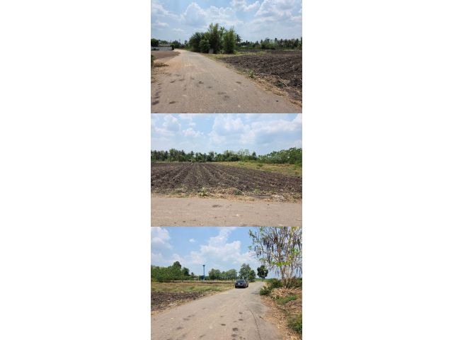 ️ที่ดินแบ่งขายเนื้อที่ 2 ไร่️โฉนดครุฑแดง️