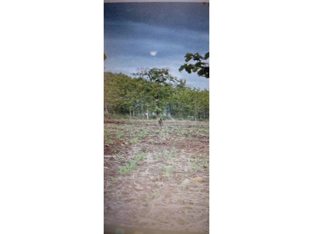 SALE LARGE LAND 158,400 sqm Mae Kasa Subdistrict, Mae Sot District, Tak