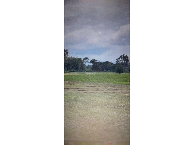 ขายที่ดินแปลงสวย 76 ไร่ แม่สอด ตาก large land at Tak