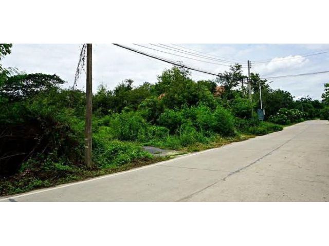 ขายที่ดินตำบลสันปูเลยดอยสะเก็ตติดถนนคอนกรีตพร้อมโอน