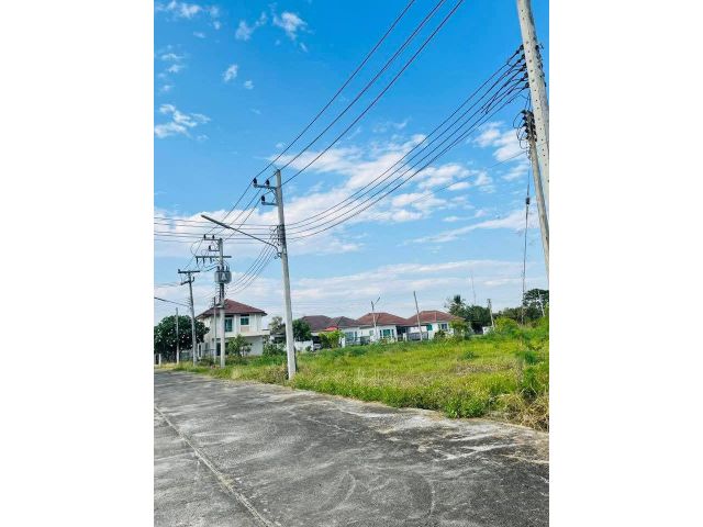 ขายที่ดินบ้านหนองแก๋วหางดงจัดสรรได้พร้อมโอน