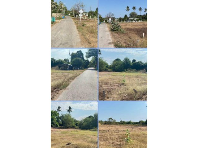 ที่ดินเปล่าโซนตลาด