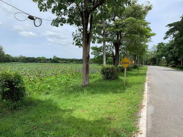 ขายที่ดินเปล่า ใกล้สนามบินสุโขทัย