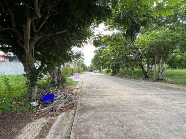 ขายที่ดิน 281 ตรว. หมู่บ้านกรีนวัลเล่ย์ บางนา-ตราด กม.15 ต.บางโฉลง อ.บางพลี สมุทรปราการ