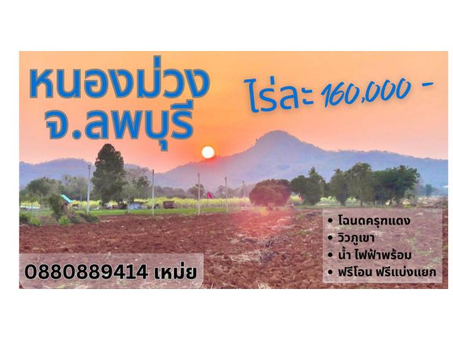 ที่ดิน หนองม่วง ลพบุรี ไร่ละ 160000