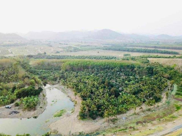 ขายที่ดิน 13 ไร่ ต.สามกระทาย อ.กุยบุรี จ.ประจวบคีรีขันธ์