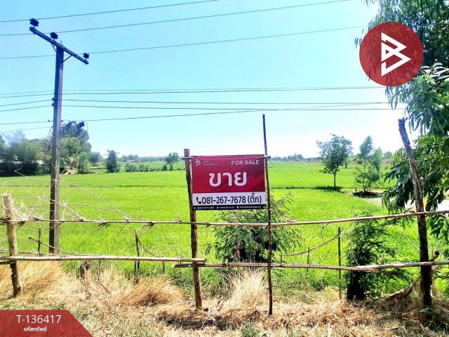 ขายที่ดิน เนื้อที่ 4 ไร่ 2 งาน 73 ตร.วา จังหาร ร้อยเอ็ด