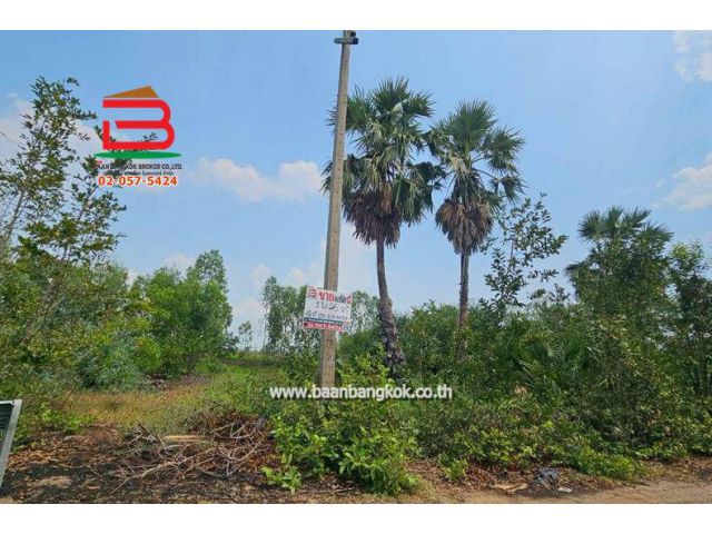 ที่ดินเปล่า หมู่บ้าน อริสรา ลาดบัวหลวง เนื้อที่ 1-0-35 ไร่ ถนนบางบัวทอง-สุพรรณบุรี อ.ลาดบัวหลวง จ.อยุธยา