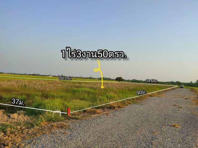 ที่ดิน 1 ไร่ 3 งาน 50 ตารางวา โคกโคเฒ่าสุพรรณบุรี