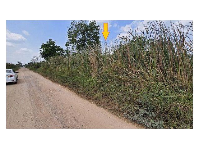 ขายที่ดิน 2 ไร่ คลองหกตะวันออก52 ต.คลองหก อ.คลองหลวง ปทุมธานี