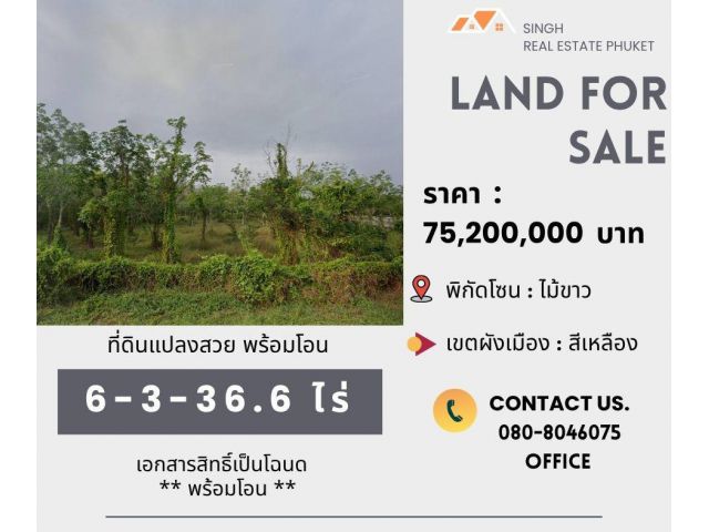 ** LAND FOR SALE ** ที่ดินเปล่า  6-3-36.6 ไร่  (  บ้านบ่อส้อม - ไม้ขาว )
