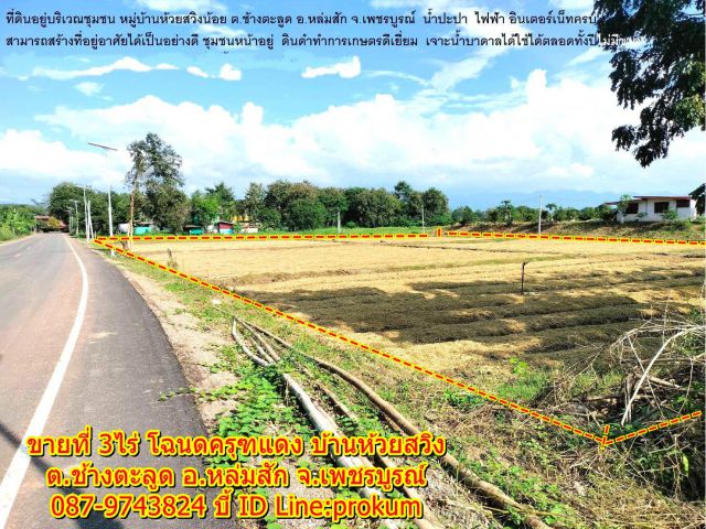 ขายที่ 3 ไร่ติดถนนลาดยาง
