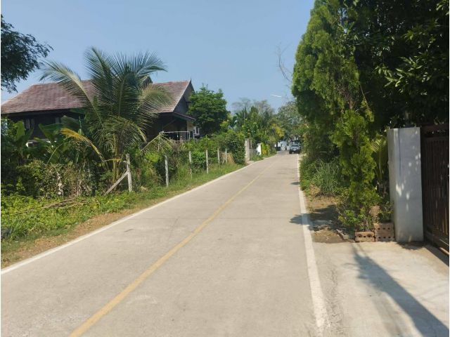 ขายที่ดินตำบลสันผักหวานหางดงติดถนนพร้อมโอน