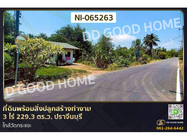 ที่ดินพร้อมสิ่งปลูกสร้างท่างาม 3 ไร่ 229.3 ตร.ว. ปราจีนบุรี ใกล้วัดกระแจะ NI-065263