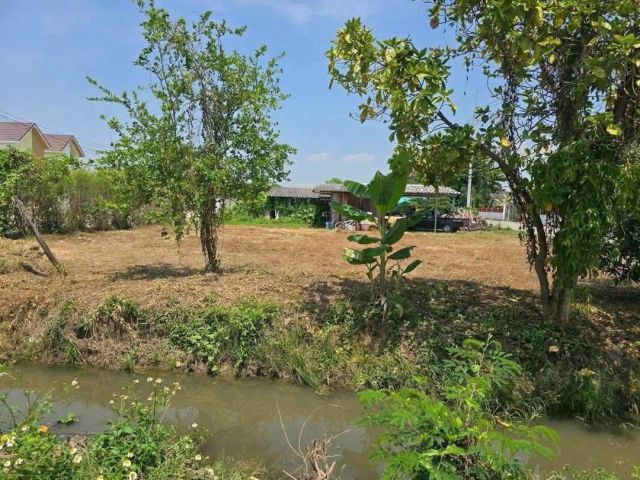 ขายที่ดินตำบลหนองแฝกสารภีติดถนนติดลำเหมืองพร้อมโอน
