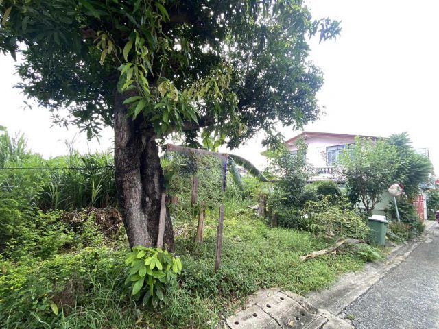 ขายที่ดิน 398 ตรว. ซอยรามอินทรา 14 แขวงท่าแร้ง เขตบางเขน จังหวัดกรุงเทพมหานคร