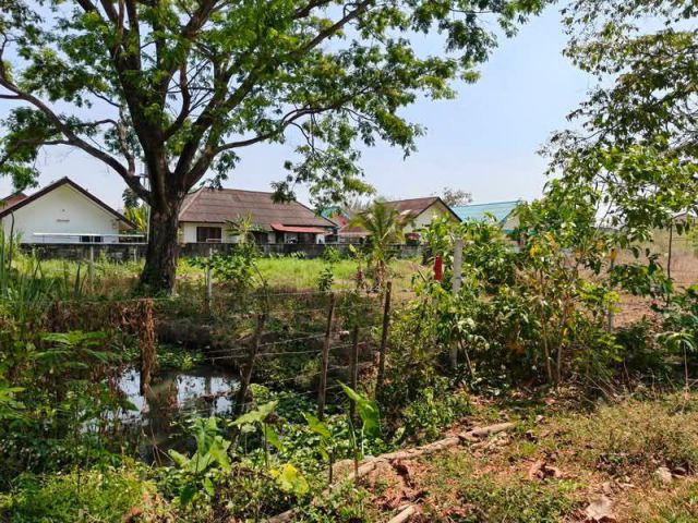 ขายที่ดินตำบลแม่เหียะหมู่บ้านกุลพันธ์ 5 พร้อมโอน