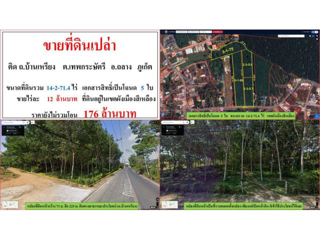 ขายที่ดินเปล่า ขนาด 14-2-71.4 ไร่  ติด ถ.บ้านเหรียง  ต.เทพกระษัตรี  อ.ถลาง  ภูเก็ต