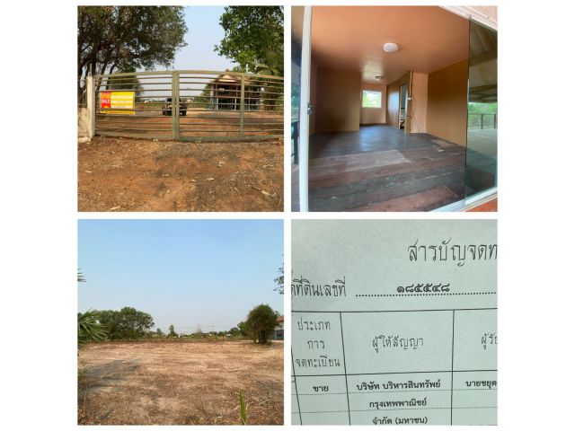 ขายบ้านพร้อมที่ดิน