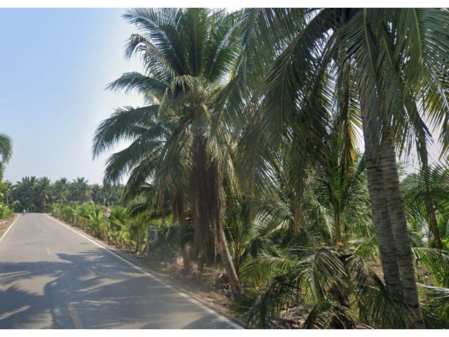 ขายที่ดิน 6 ไร่ ต.ประสาทสิทธิ์ อ.ดำเนินสะดวก จ.ราชบุรี