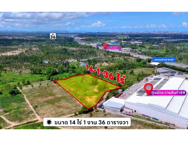 ขายที่ดิน 14 ไร่ ติดศูนย์กระจายสินค้า CP ถนนมอเตอร์เวย์ ต.หนองปลาไหล อ.บางละมุง จ.ชลบุรี
