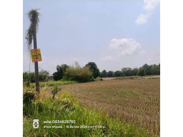 ขายด่วนที่ดิน 15-1-68 ไร่ ติดถนนสาธารณะ ต.เขาพระ อ.เมืองนครนายก  จ.นครนายก