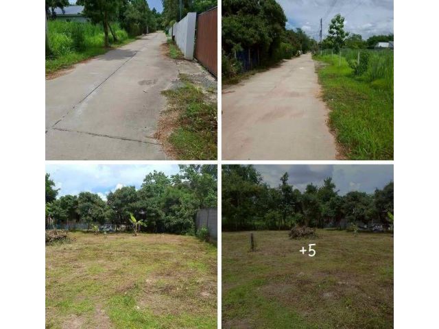 ขายที่ดินตำบลน้ำแพร่หางดงทำเลดีใกล้เมืองพร้อมโอน