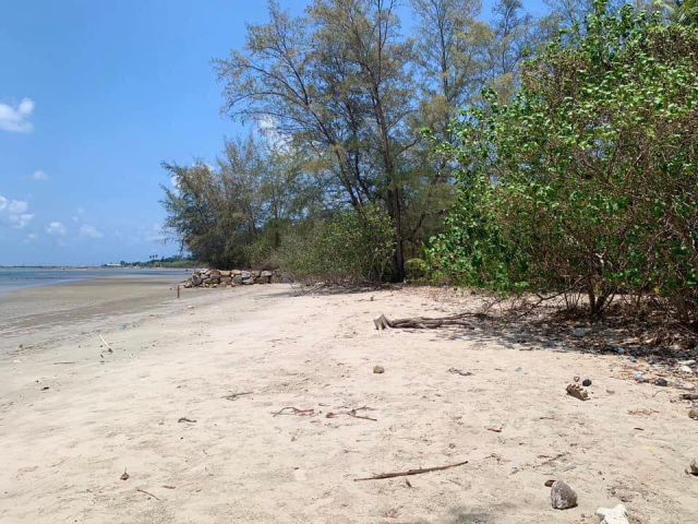 ขายที่ดินโฉนดนส.4หน้ากว้างติดชายหาดเนื้อที่ 1 ไร่ ติดถนนคอนกรีต ใกล้หาดแหลมแม่พิมพ์ใกล้ถ.สุขุมวิท3-13กม. อ.แกลง จ.ระยอง