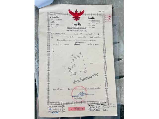 ด่วน ที่ติดทะเล 1 ไร่ 3 ล้าน อยู่ระโนด สงขลา