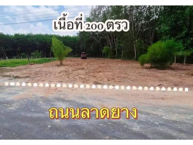 ขายที่ดินเปล่าเนื้อที่200ตรว.ต.บางบุตรอ.บ้านค่ายจ.ระยองขายราคา900.000บ.