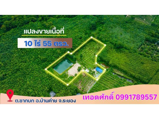 ขายที่ดินพร้อมสวนทุเรียน10ไร่55วา