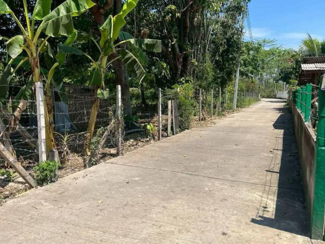 ขายที่ดินบ้านห้วยส้มเยื้อง ปตท น้ำแพร่พร้อมโอน