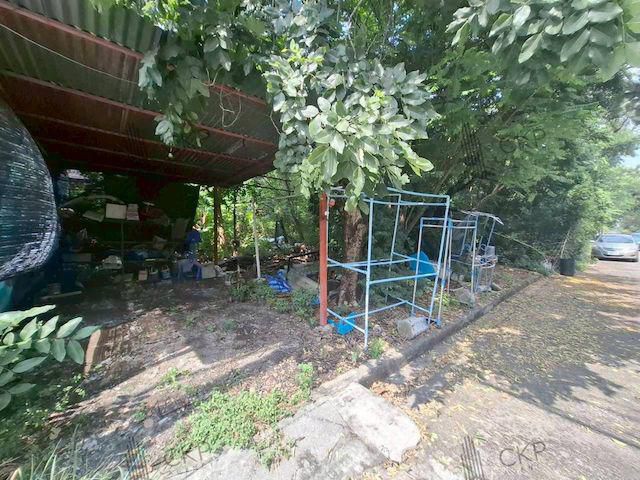 ที่ดินเปล่าทำเลดี รังสิต-นครนายก ใกล้ฟิวเจอร์รังสิตและดรีมเวิลด์ ขนาด 148 ตร.วา เหมาะสร้างบ้านหรือเก็บลงทุนในอนาคต | รหั