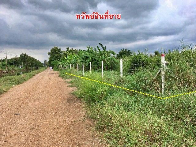 ขายที่ดินเปล่า คลอง 4 พื้นที่ 1-1-38 ไร่ ต.คลองสี่ อ.คลองหลวง จ.ปทุมธานี