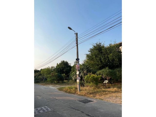 ขายที่ดินถมแล้วหนองปรือ พัทยากลาง 200 ตรว. ติดถนนซ.สุขุมวิทพัทยา63 ใกล้เซ็นทรัลพัทยา-3กม. อ.บางละมุง ชลบุรี
