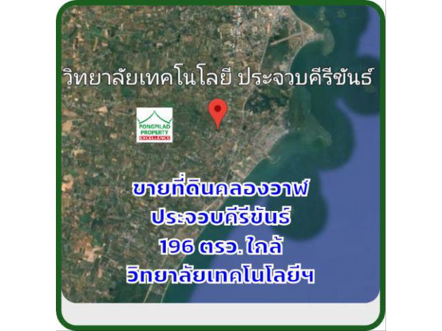 ขายที่ดินคลองวาฬ 196 ตรว.ใกล้วิทยาลัยเทคโนโลยีประจวบคีรีขันธ์