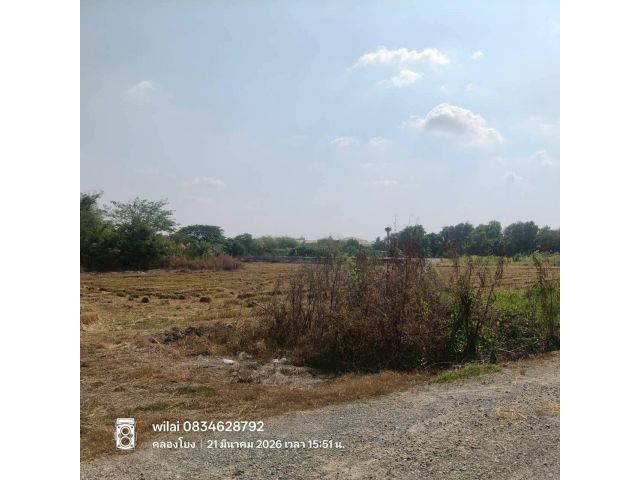 ขายที่ดินใกล้ราชภัฎสวนสุนันทา 947 ตรว ติดด่วน M81 ต.คลองโยง อ.พุทธมณฑล.นครปฐม