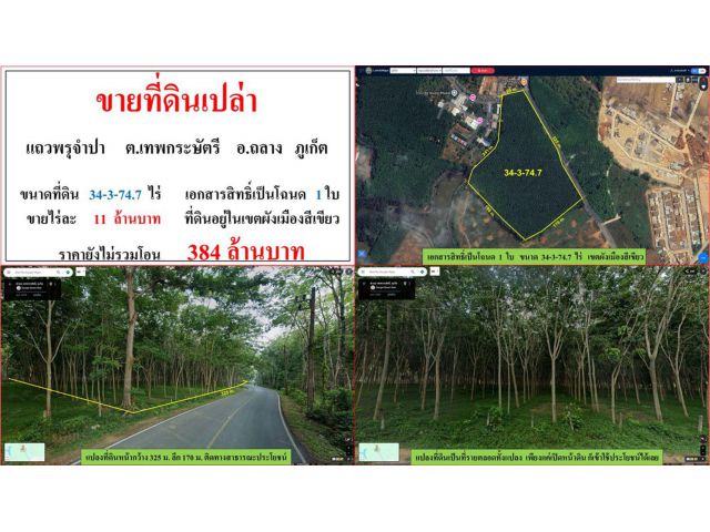 ขายที่ดินเปล่า ขนาด 34-3-74.7 ไร่  แถวพรุจำปา  ต.เทพกระษัตรี  อ.ถลาง  ภูเก็ต