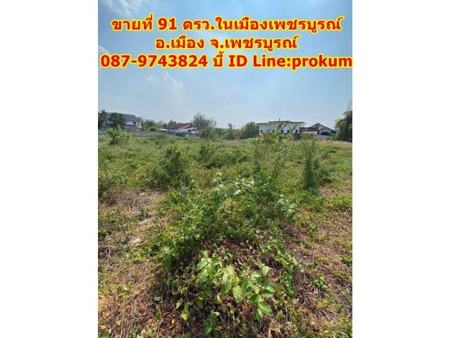 ขายที่ 91 ตรว.ในเมืองเพชรบูรณ์