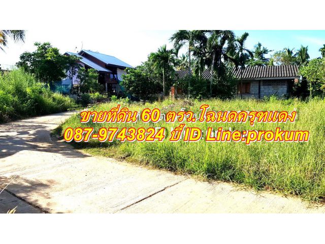 ขายที่ต.บ้านโตก
