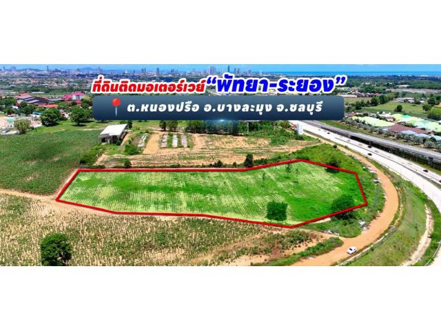 ขายที่ดิน 8 ไร่ พัทยา ติดถนนมอเตอร์เวย์ พัทยา-ระยอง ต.หนองปรือ อ.บางละมุง จ.ชลบุรี