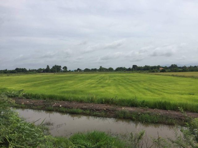 L042 ขายที่นา 27 ไร่ บ้านนา นครนายก
